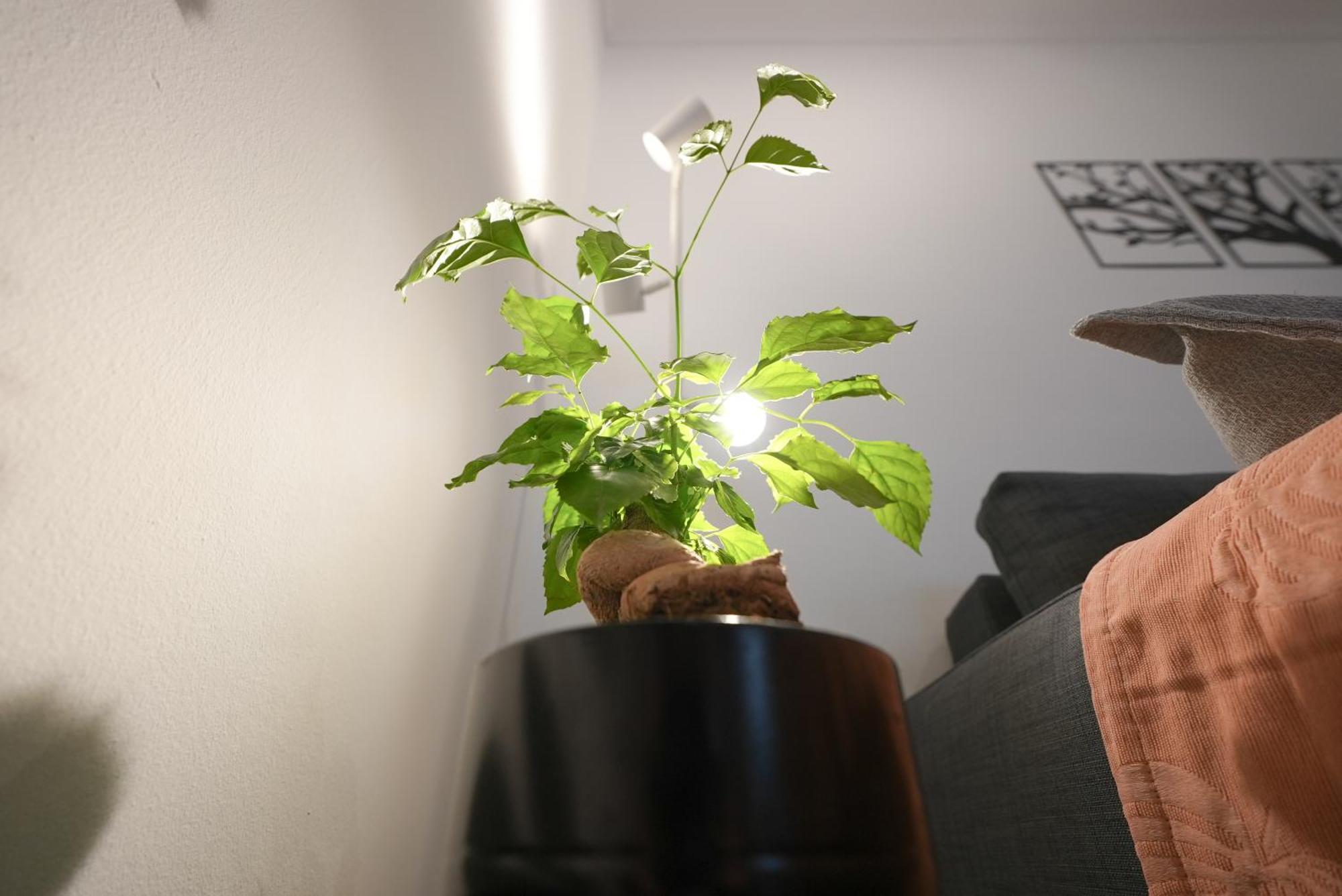 Syntagma Square, 50Sqm Nikis Luxurious Apartment Атина Екстериор снимка